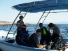 3-reefcheck-2010